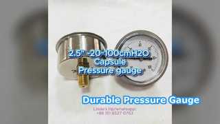 2.5 اینچ 60mm -20~100cmH2O مورد ضد زنگ + اتصال برنجی