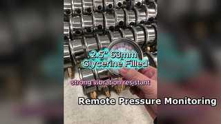 کیس ضد زنگ 2.5 اینچی 63 میلی متری، پر از گلیسیرین