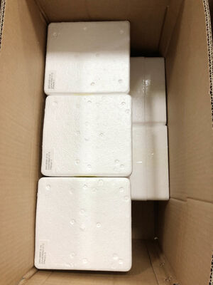 6" 0-1.6MPa گیج فشار از راه دور – دقت 1.6% | خوانش‌های بی‌درنگ