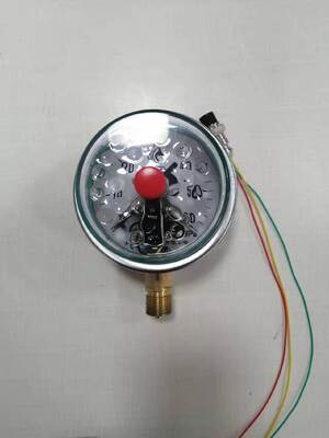 Magnetic-assisted Electronic Pressure Gauge with 100mm Size and Silicone Filled for Accurate Measurements